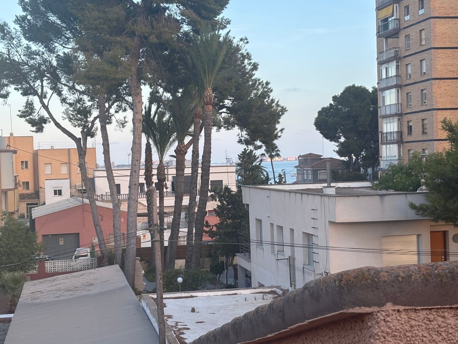 Vistas al Mar Menor desde el apartamento, entre pinos y palmeras